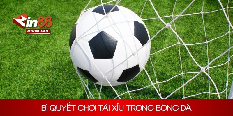 Bí quyết chơi tài xỉu trong bóng đá