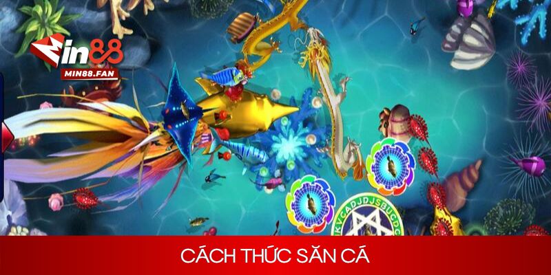 Hướng dẫn cách chơi bắn cá đại hải trình chi tiết