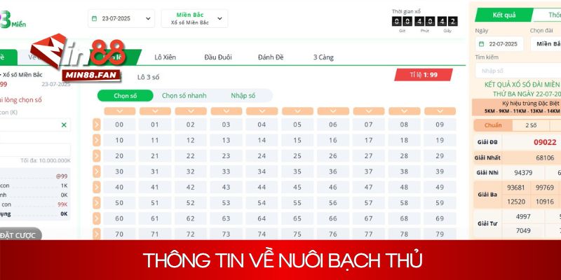Giới thiệu chung thông tin về nuôi bạch thủ