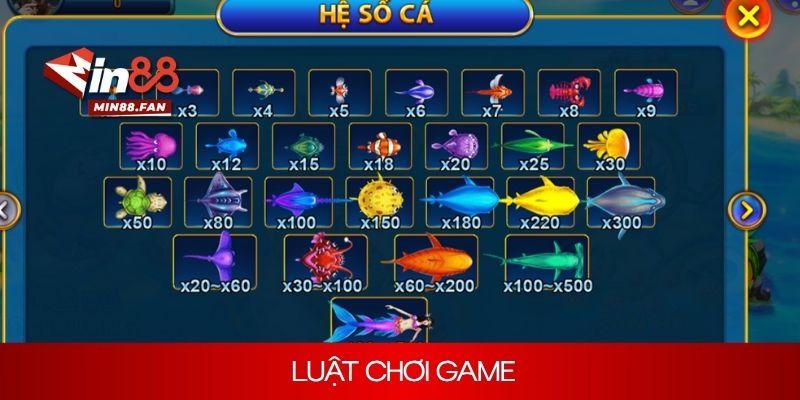 Hướng dẫn bạn cách tham gia chơi bắn cá đúng luật