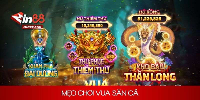 Một số mẹo chơi vua săn cá bất bại từ cao thủ