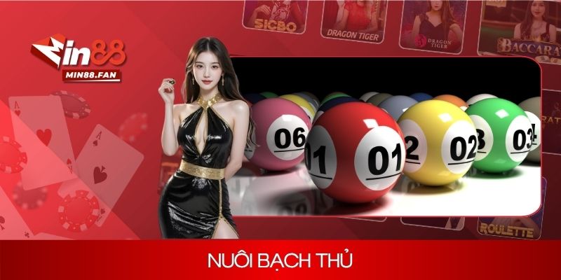 Bí quyết nuôi bạch thủ chốt số thành công, thắng nhanh